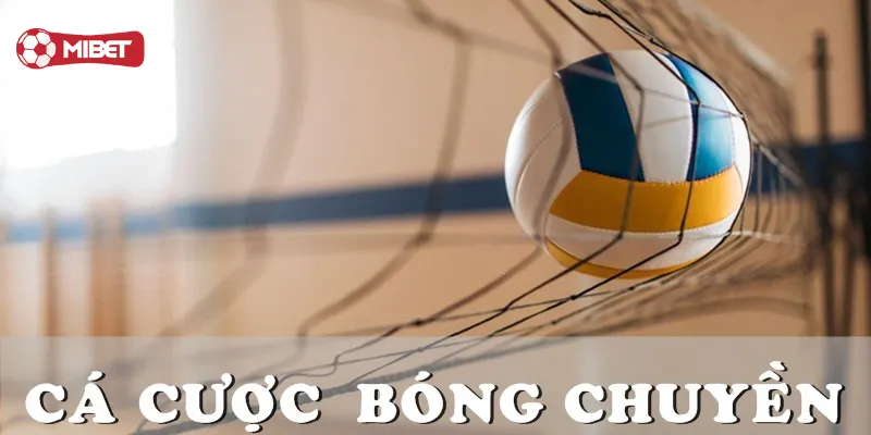 Cá Cược Bóng Chuyền là gì?