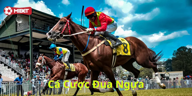 Cá Cược Đua Ngựa có gì hấp dẫn?