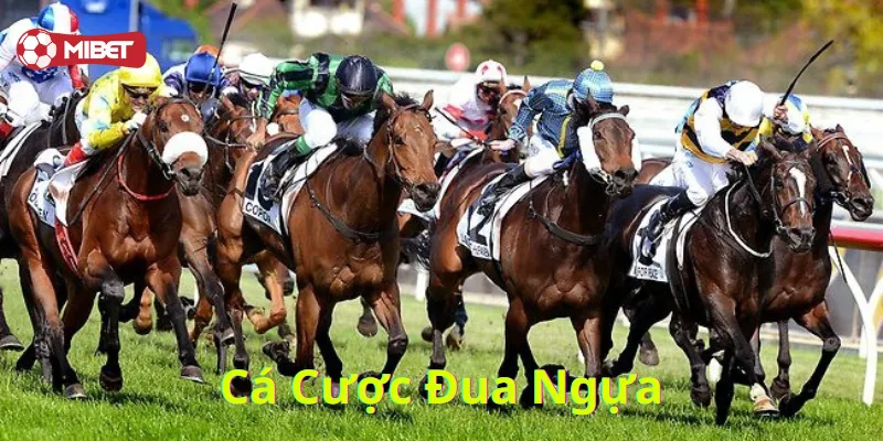 Cá Cược Đua Ngựa là gì?