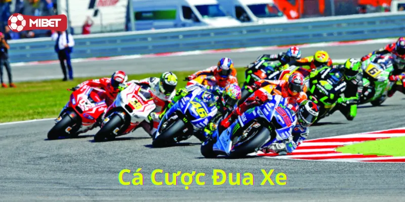 Cá Cược Đua Xe là gì