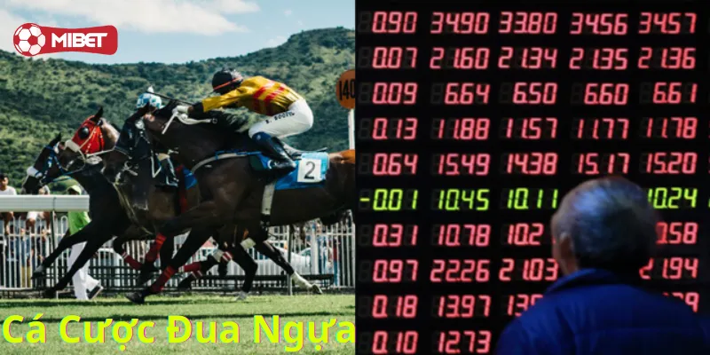 Mẹo chơi Cá Cược Đua Ngựa siêu đỉnh