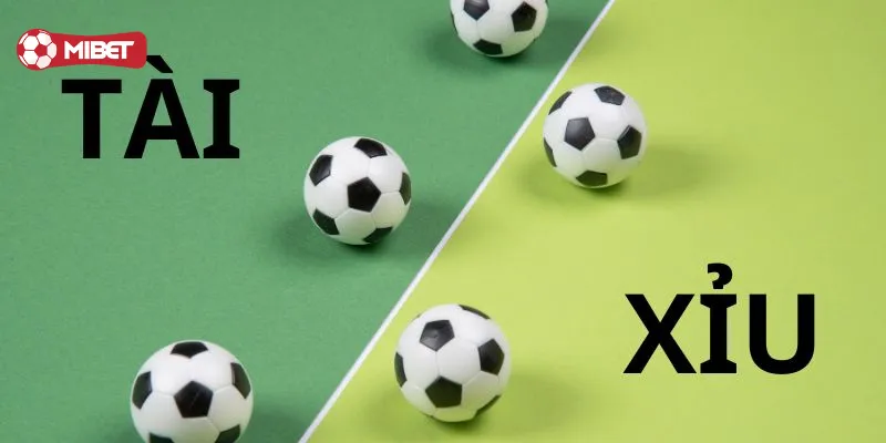 Tài Xỉu 1 Trái là gì?