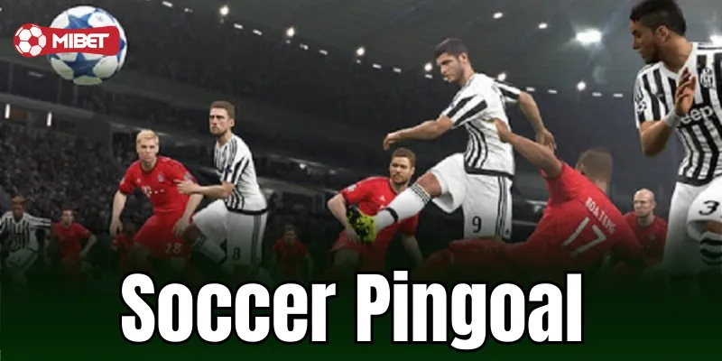 Cách cá cược Soccer Pingoal hiệu quả