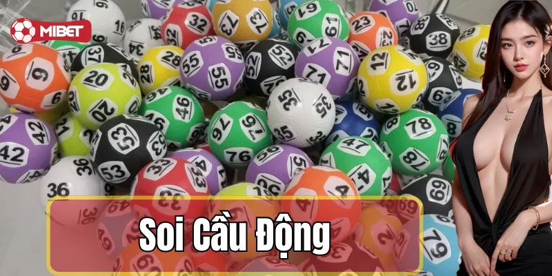 Nguyên tắc chính của soi cầu động