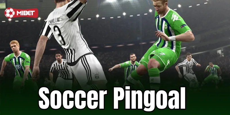 Đặc điểm nổi bật của Soccer Pingoal