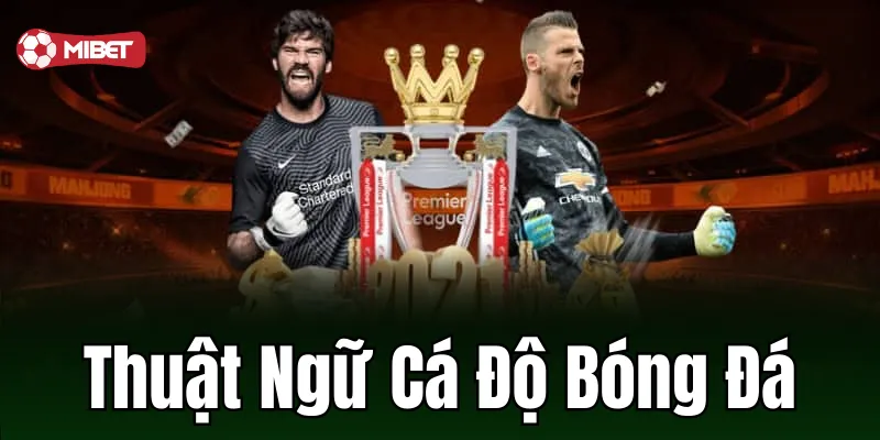 Nắm rõ thuật ngữ cá độ bóng đá rất quan trọng