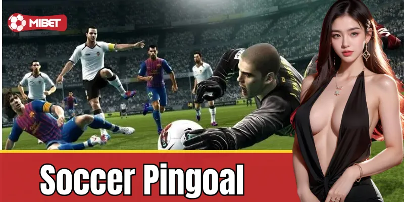 Soccer Pingoal - Một nền tảng thể thao ảo đầy thú vị