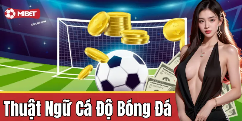 Sự phát triển của cá độ bóng đá
