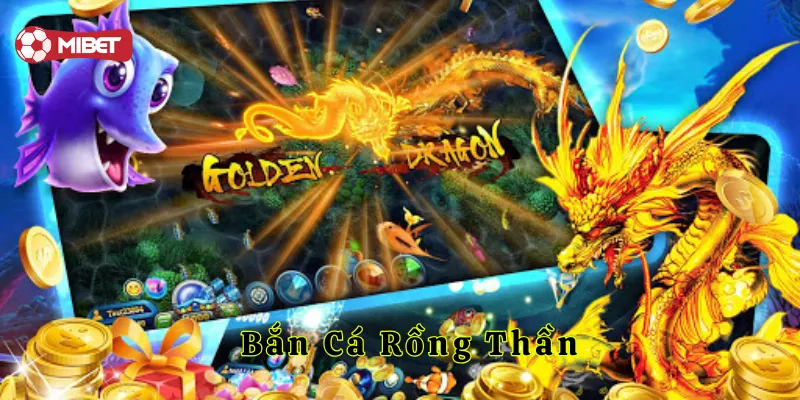 Lời khuyên khi tham gia