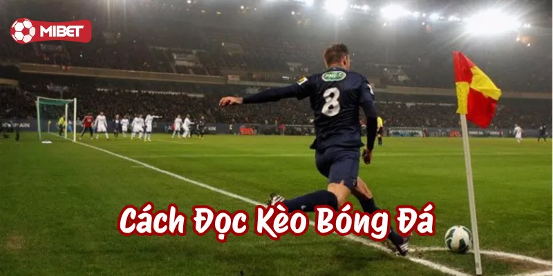 Các bước thực hiện Cách Đọc Kèo Bóng Đá