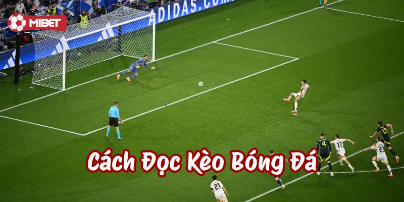 Cách Đọc Kèo Bóng Đá là gì?