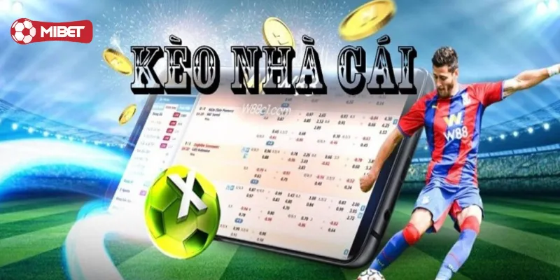 Yếu tố ảnh hưởng đến Cách Nhà Cái Ra Kèo